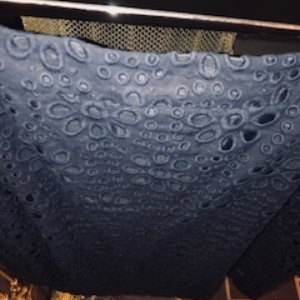 COPY - J Crew Navy Eyelet Pencil Skirt